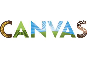 Canvas logo no tag Canvas logo no tag